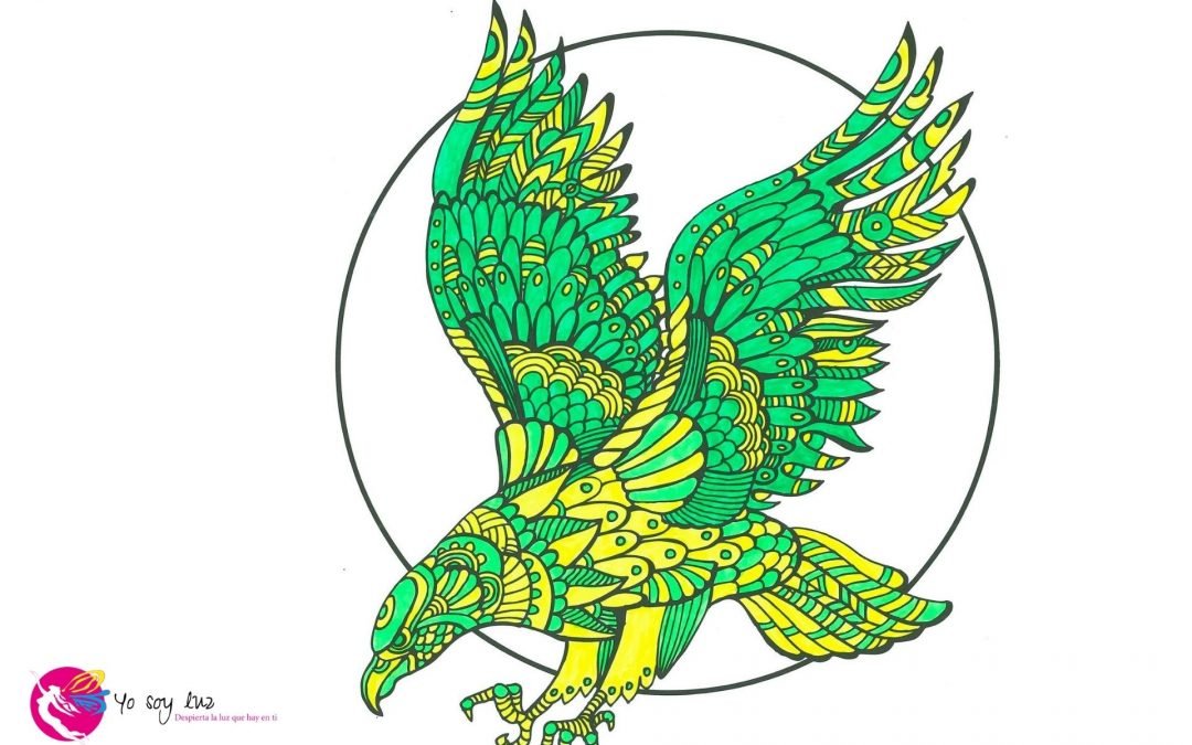 Si pudiera volar